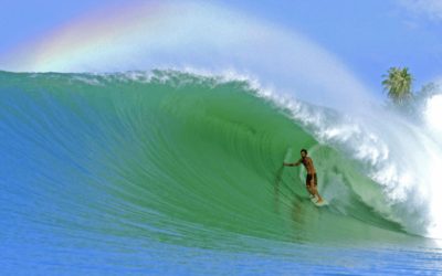 Amazing! 14 Best Surf Websites For Surfers