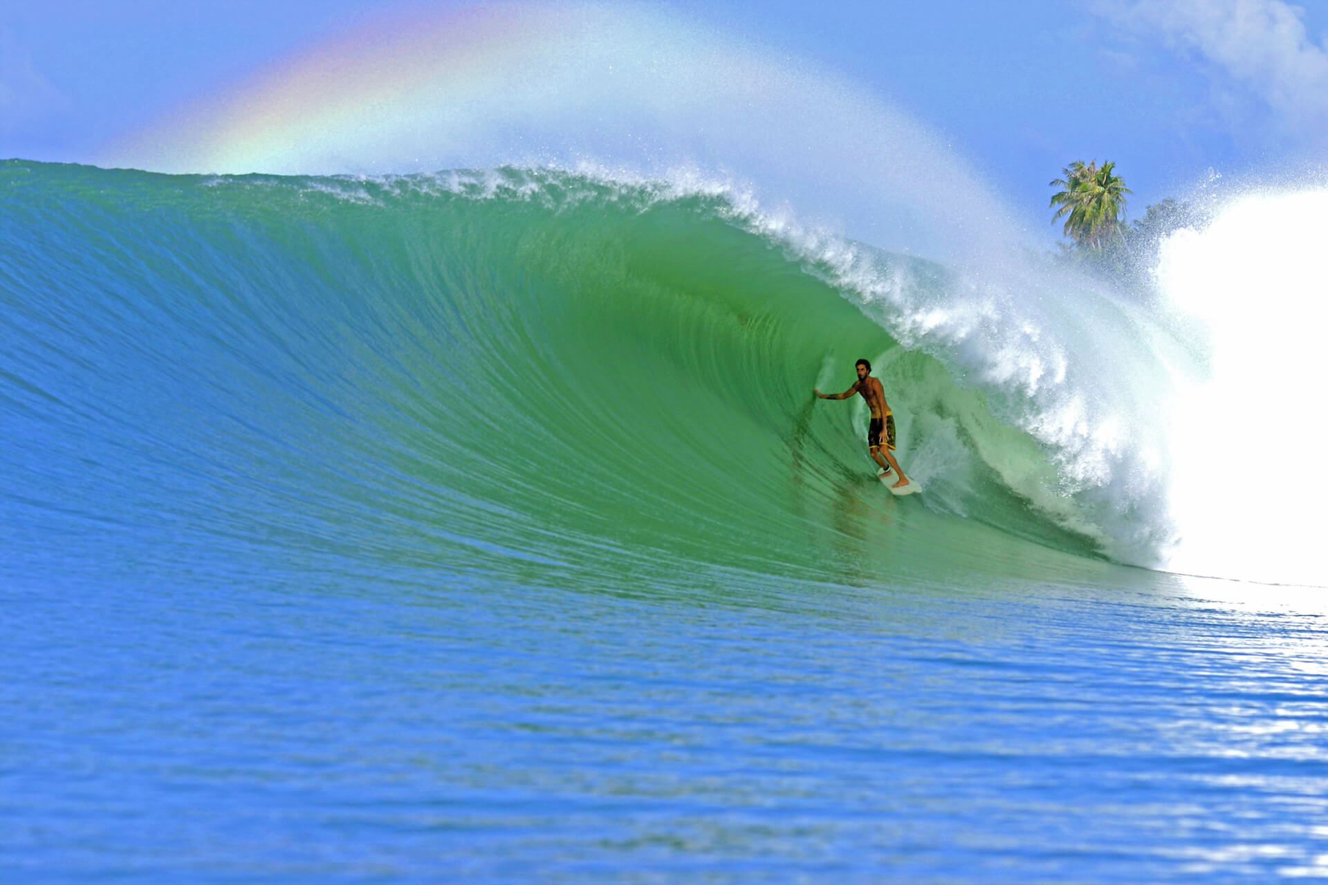 Amazing! 14 Best Surf Websites For Surfers