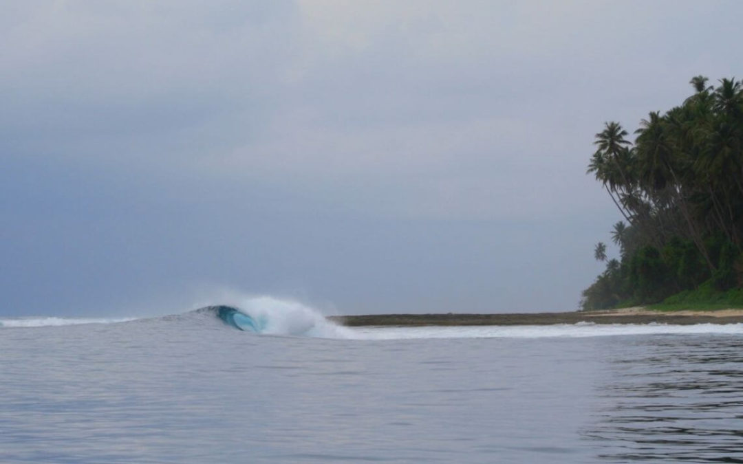 Teabags Surf Spot