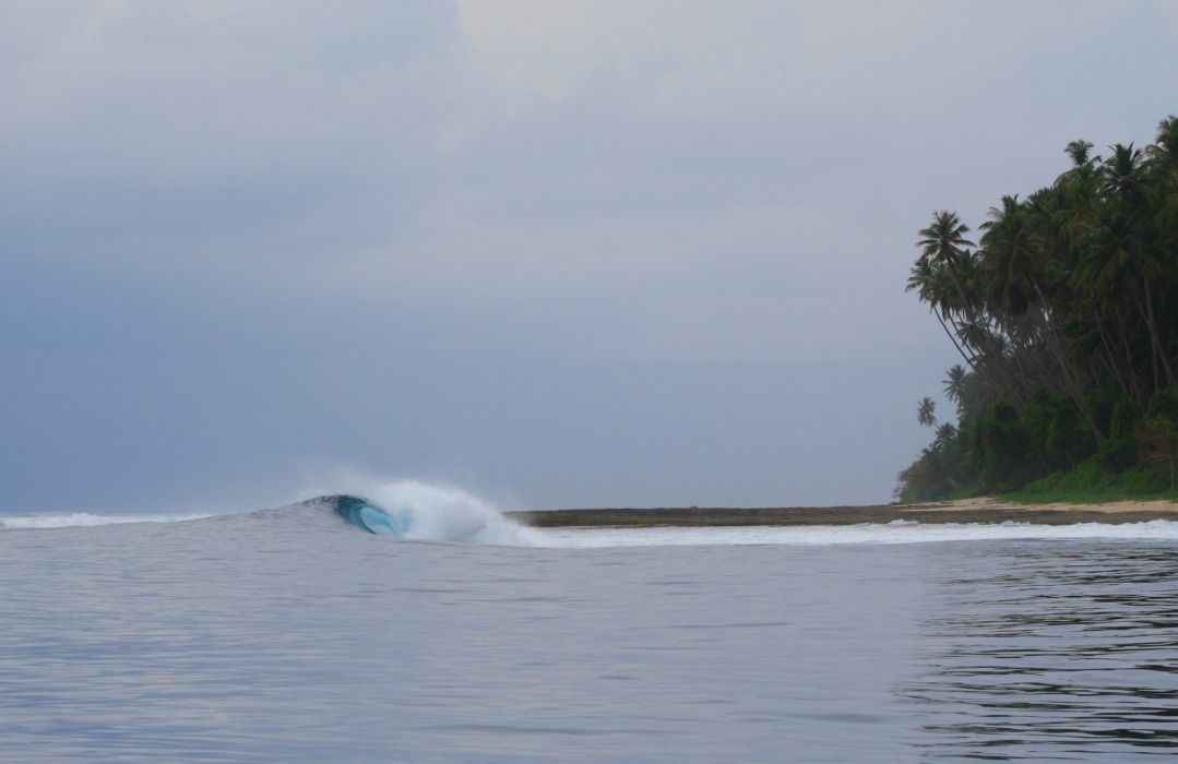 pulau simeulue-teabags