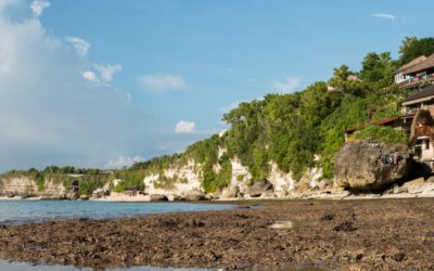 How To Treat Reef Cuts