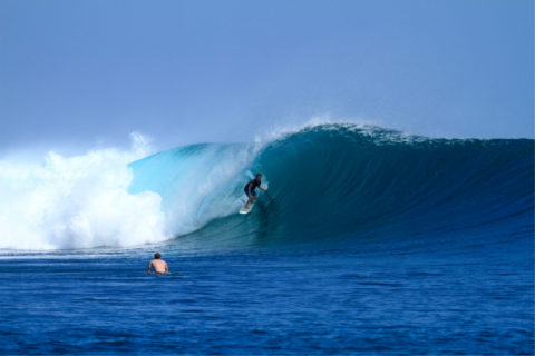 G-Land Surf Spots | Grajagan Java's Ultimate Left - Surf Indonesia