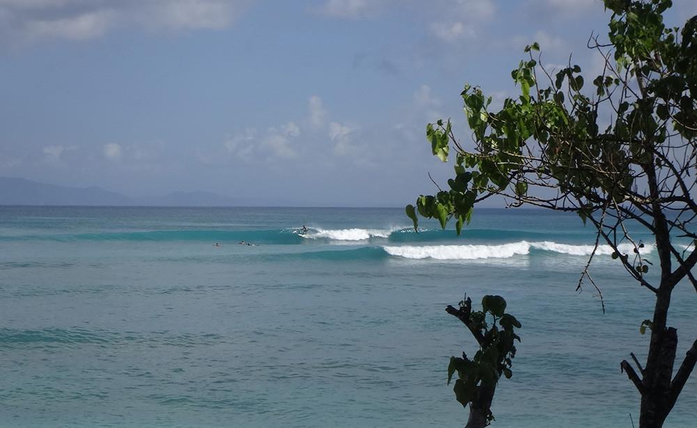g land surf trip from bali
