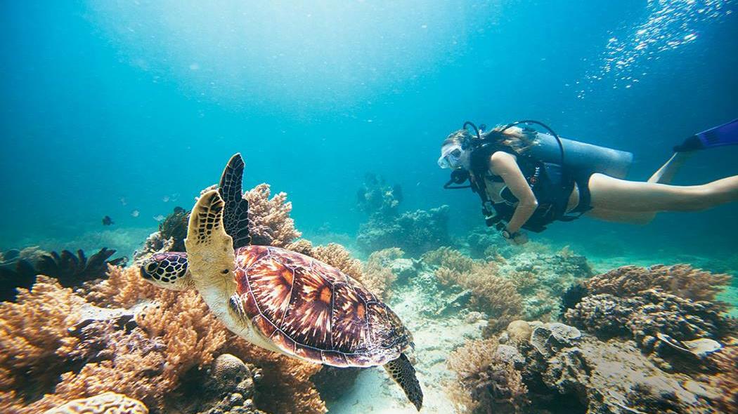 gili-t-scuba