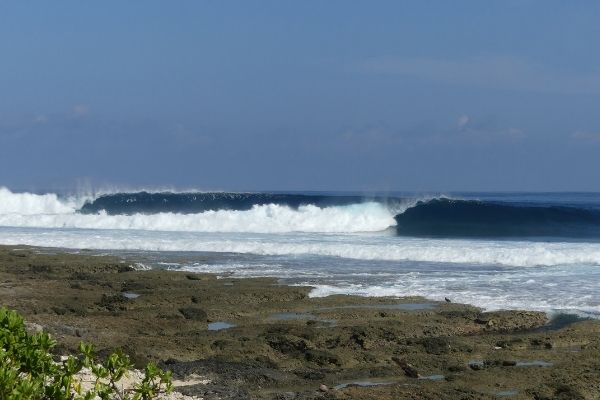 best-surf-indonesia