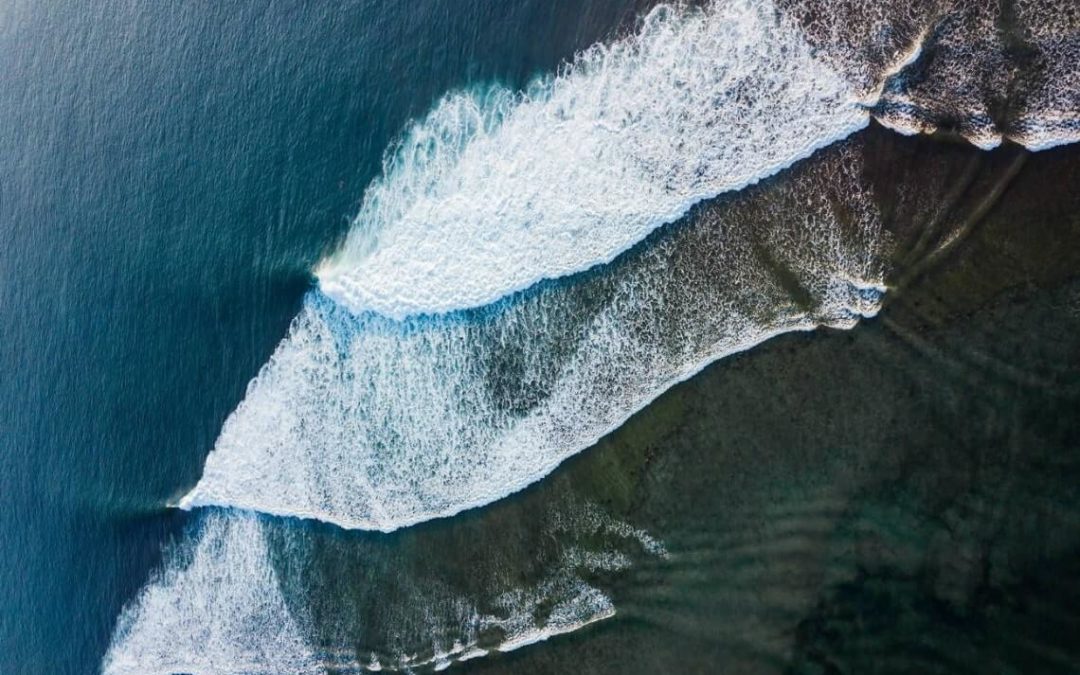 Hyatt Reef