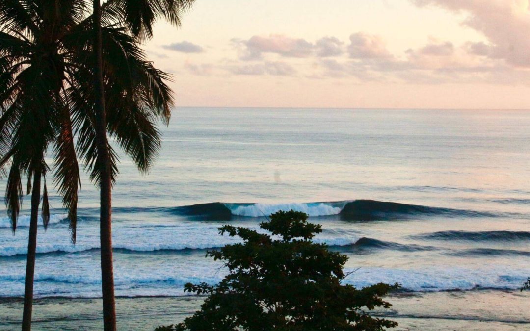 Monkey Trees Surf Spot