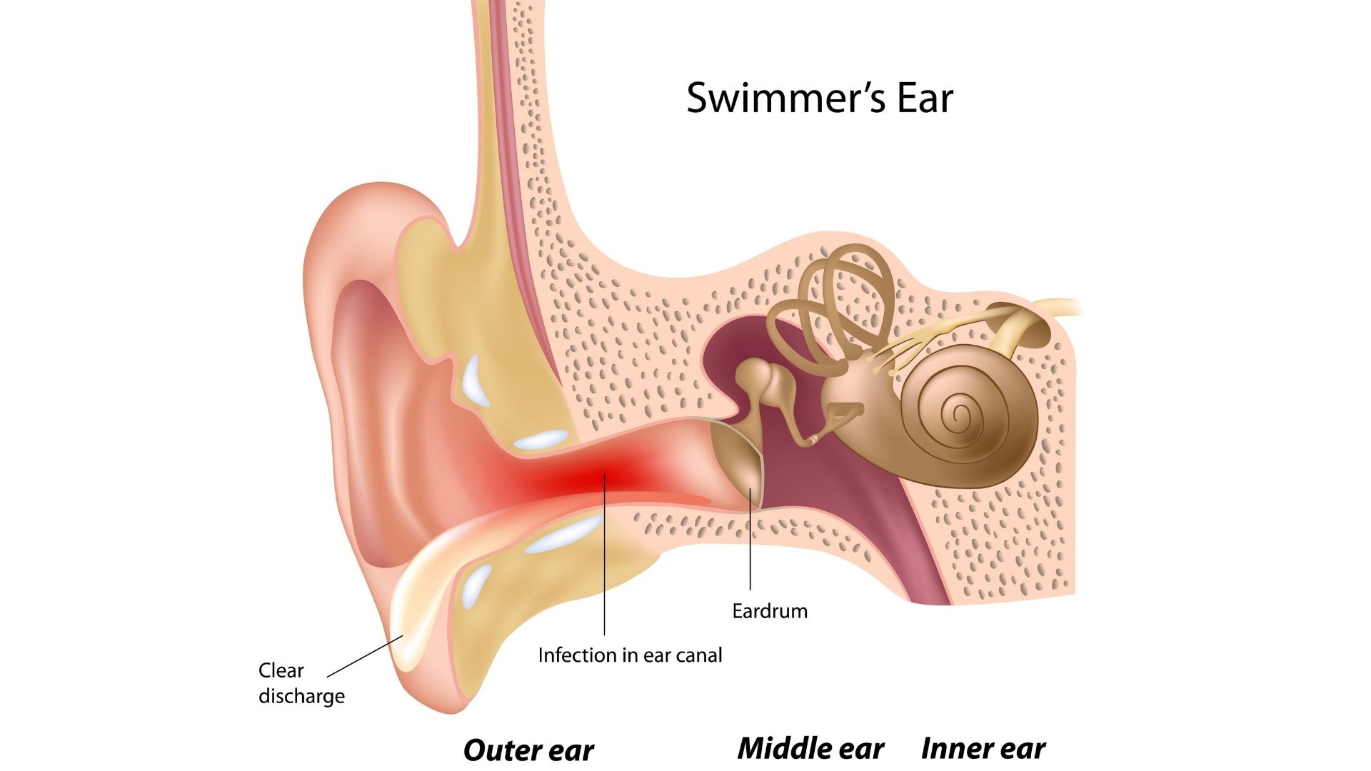 При открытии рта болит ухо