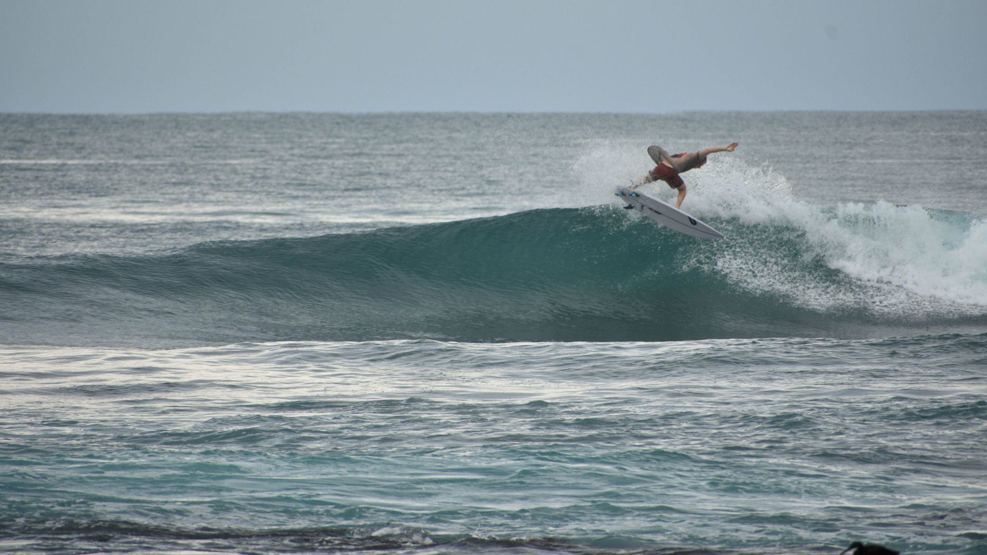 Lances Right Surf Forecast and Surf Reports (Mentawi Islands, Indonesia)