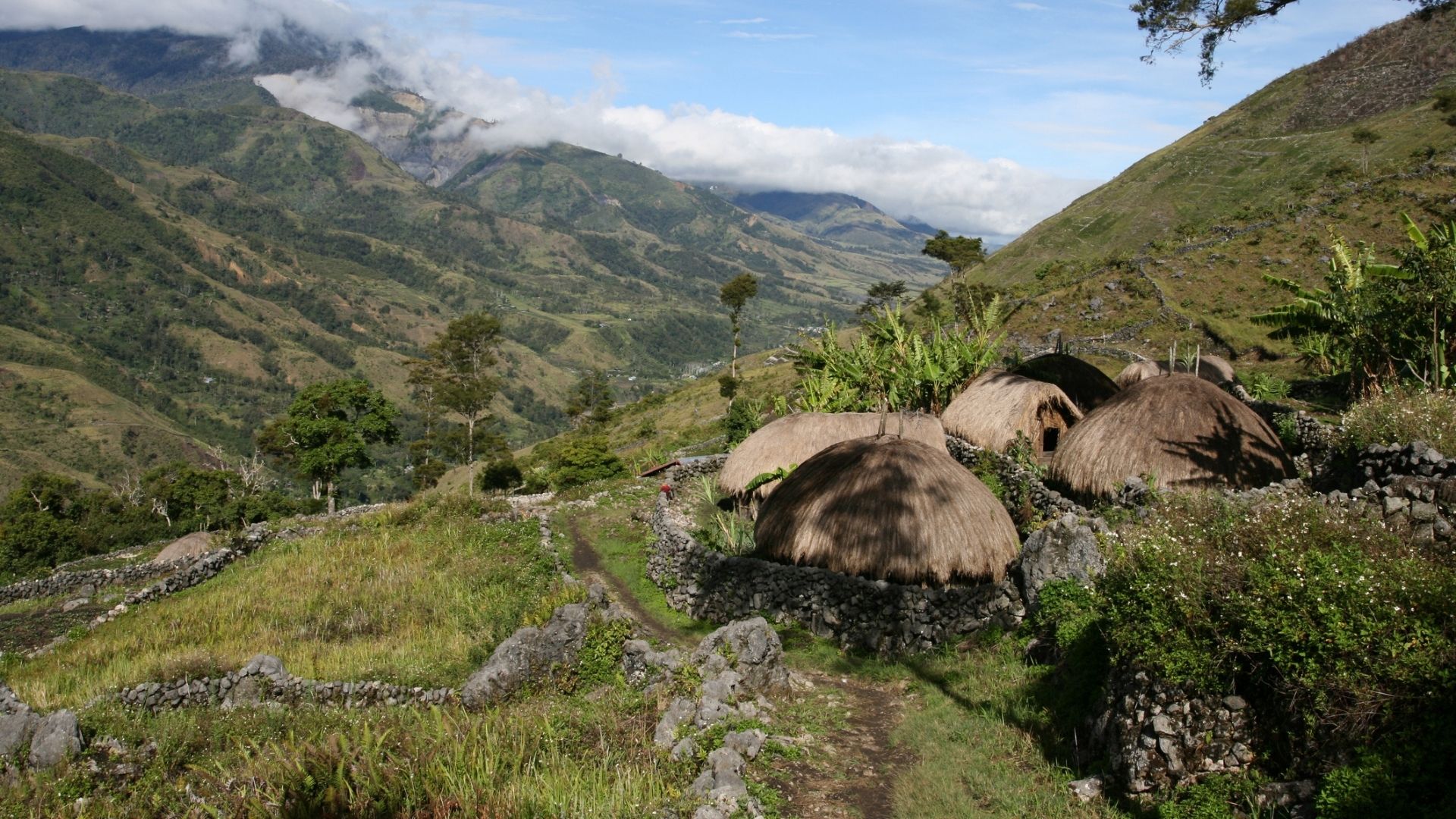 Baliem Valley