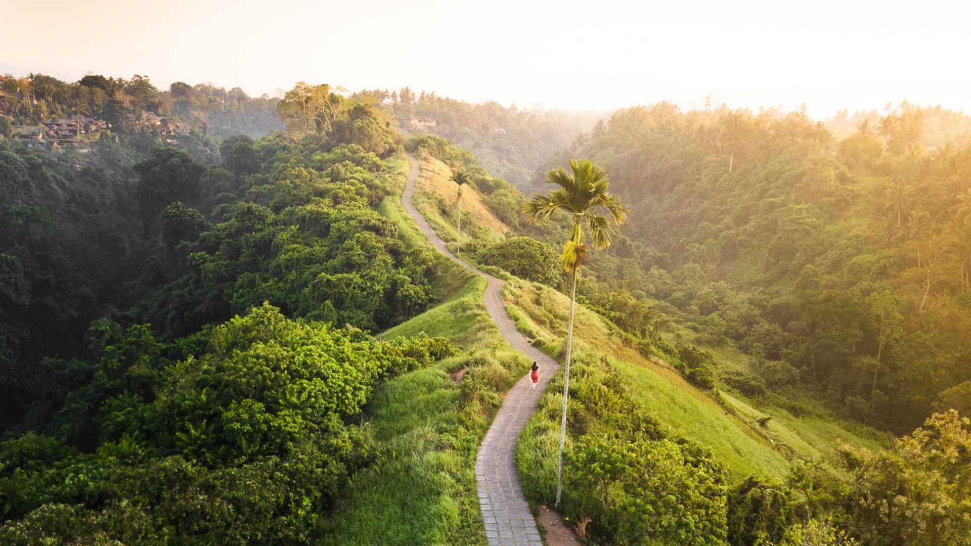 Campuhan Ridge Walk Bali