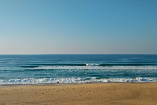 surf in portugal